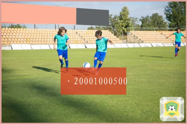 ·20001000500
